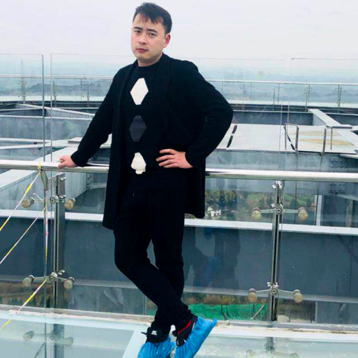 积极笑白猫的照片