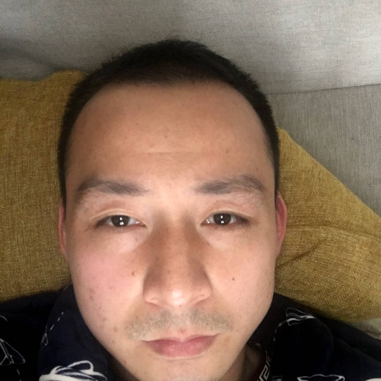 含羞草苦恋温婉的照片
