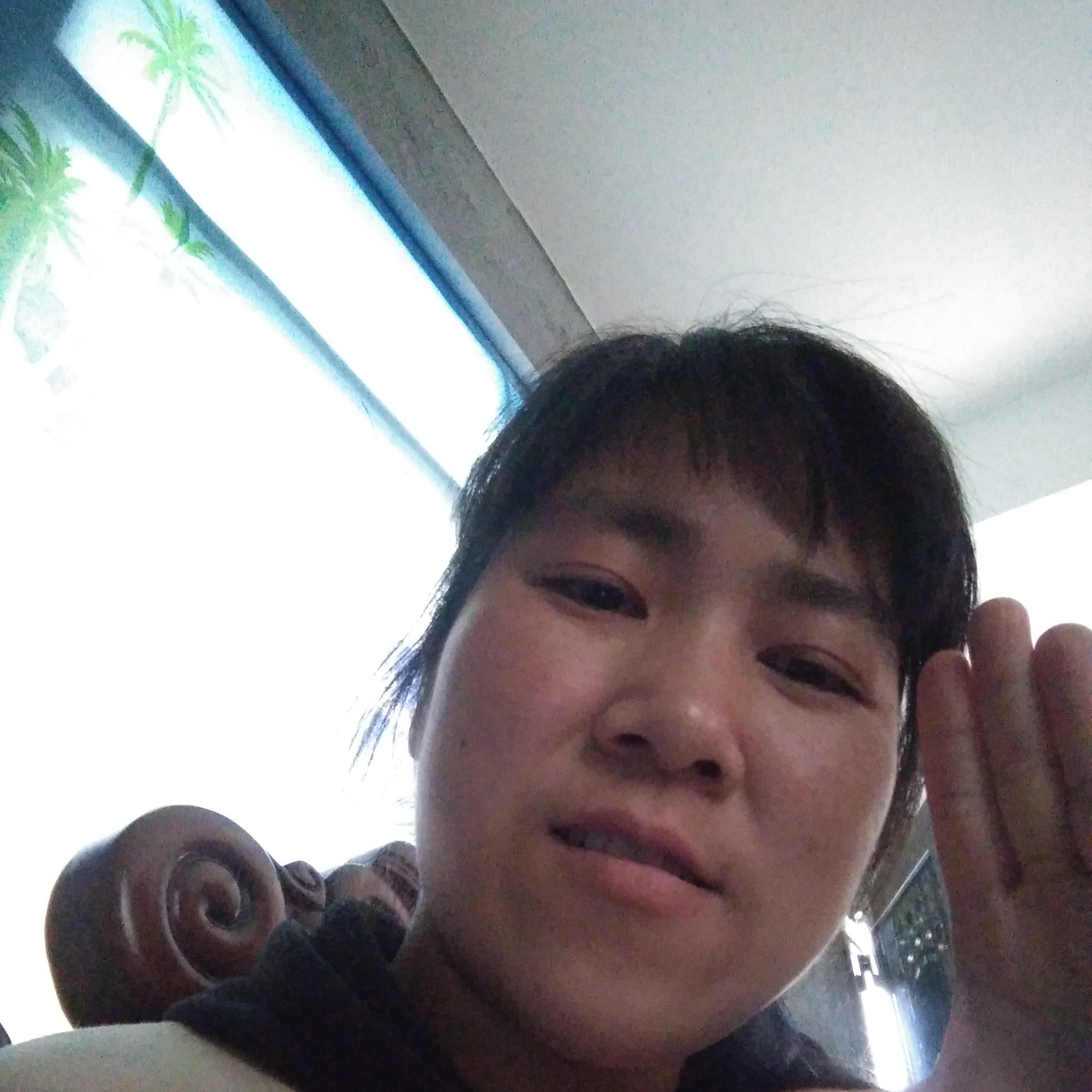 小天鹅保卫活泼的照片