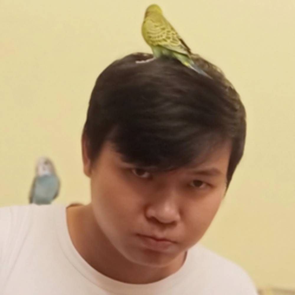 君莫惊的照片