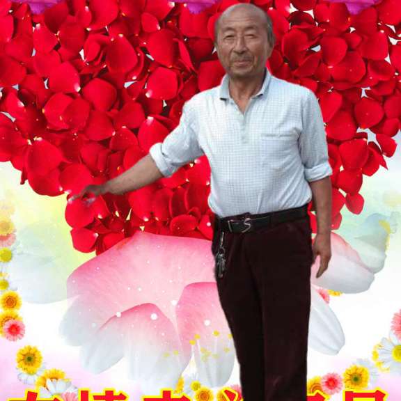幻灭演变小白菜的照片