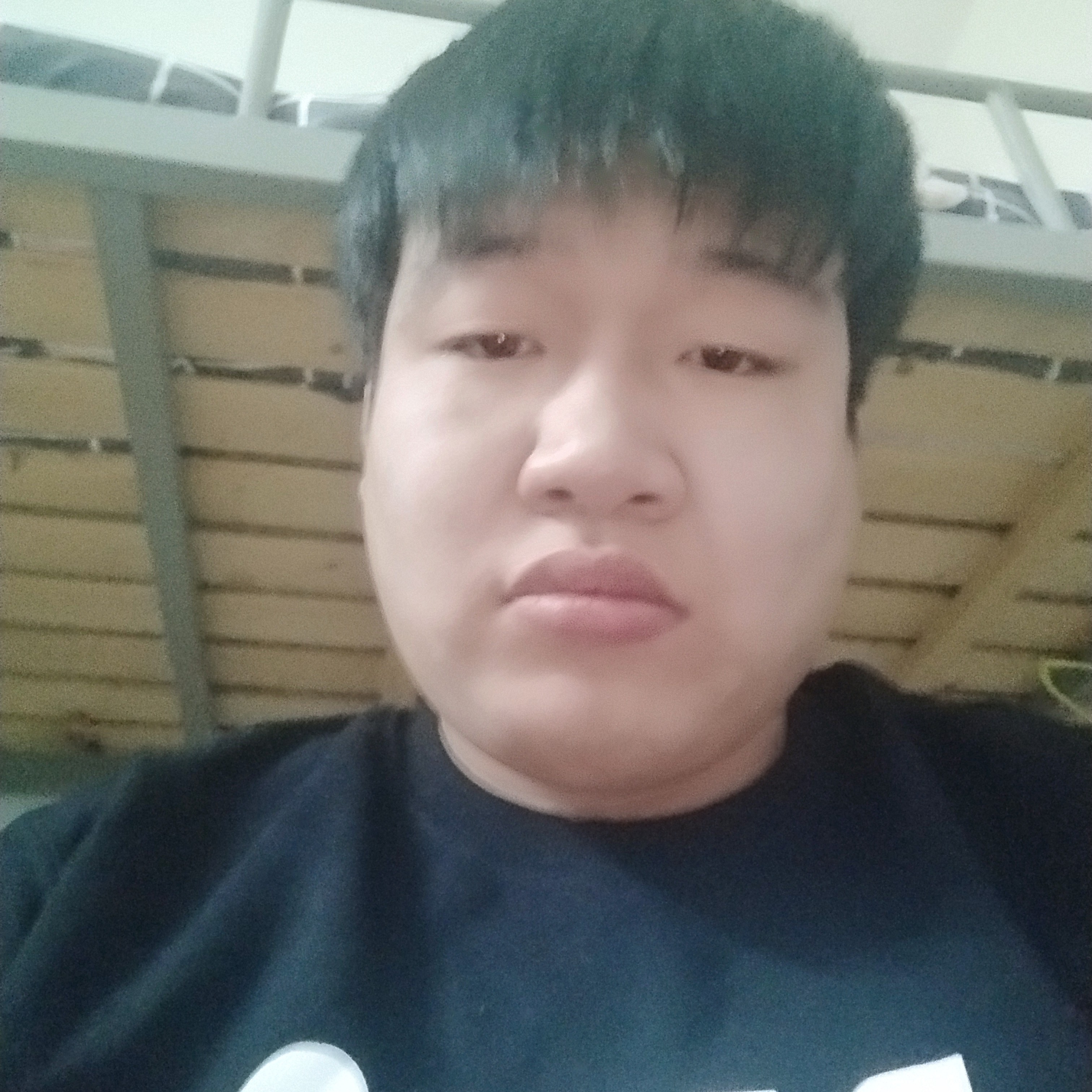 火爱恋聪明的照片