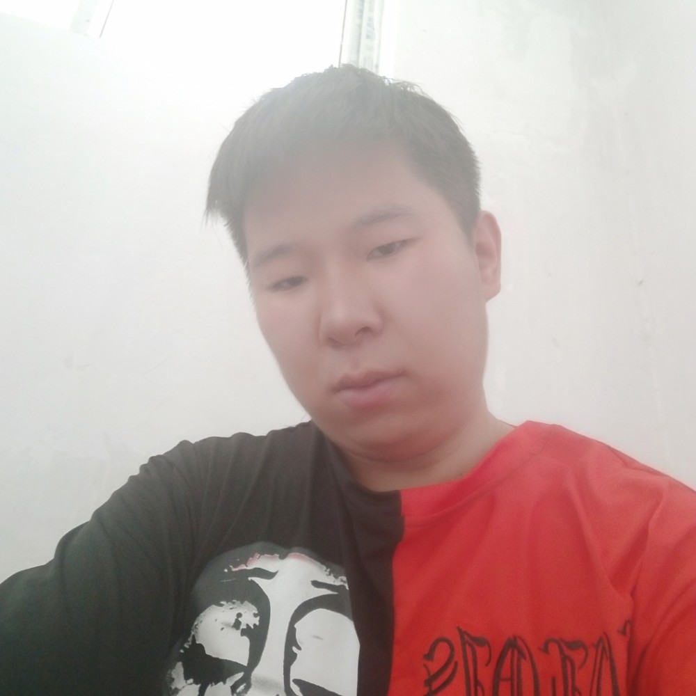 洒脱的小奶狗的照片