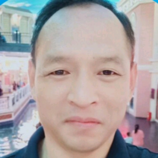 金鱼美好的照片