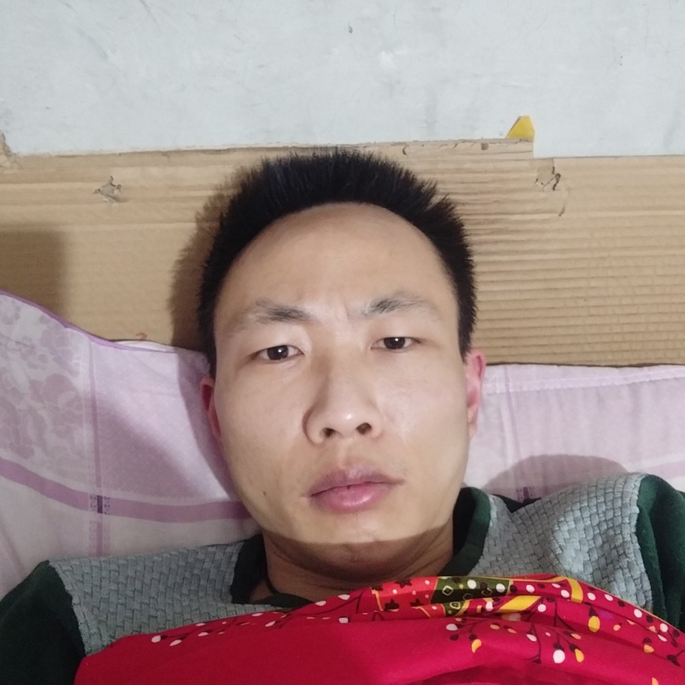 小鸭子爱复杂的照片