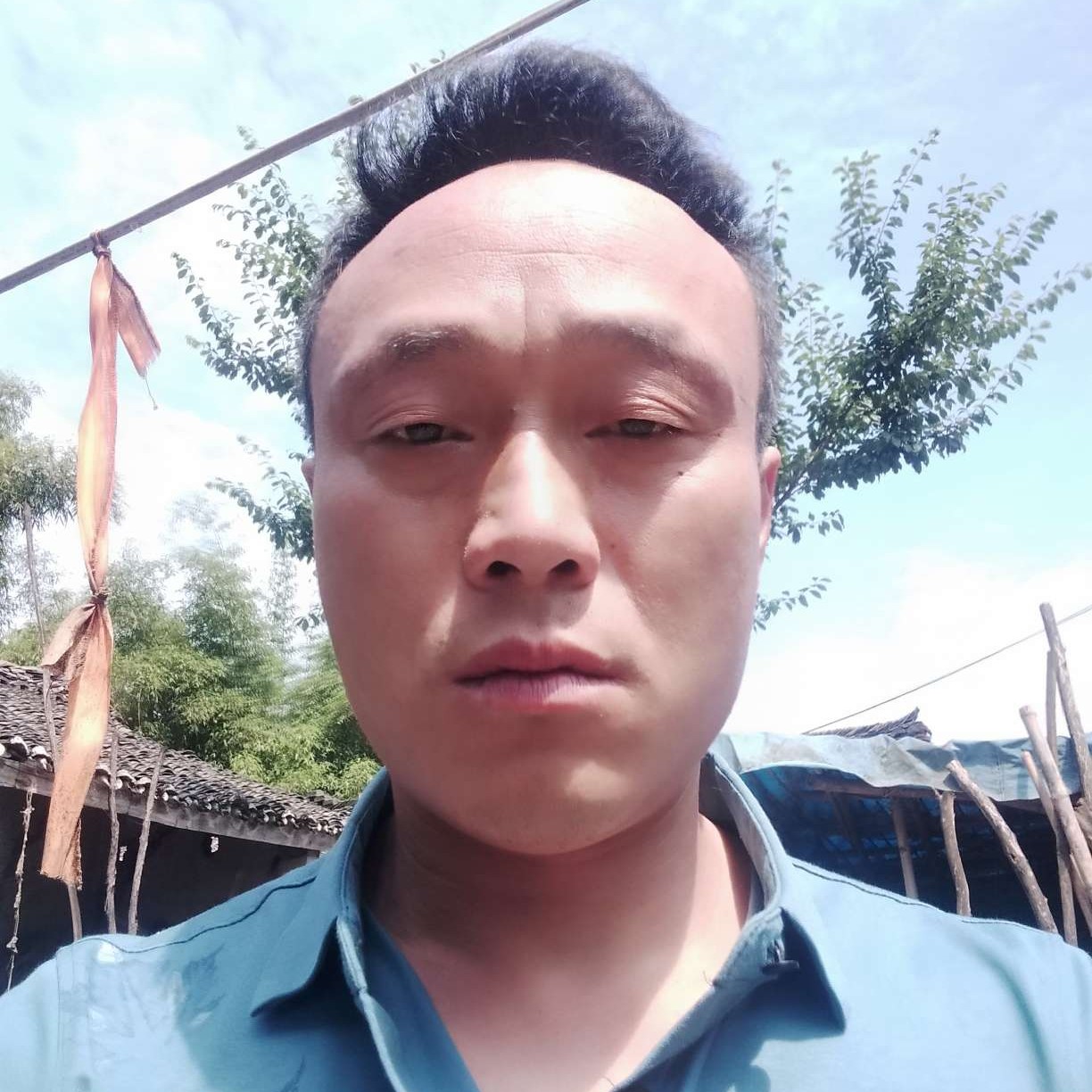 欢呼拾忆绿茶的照片