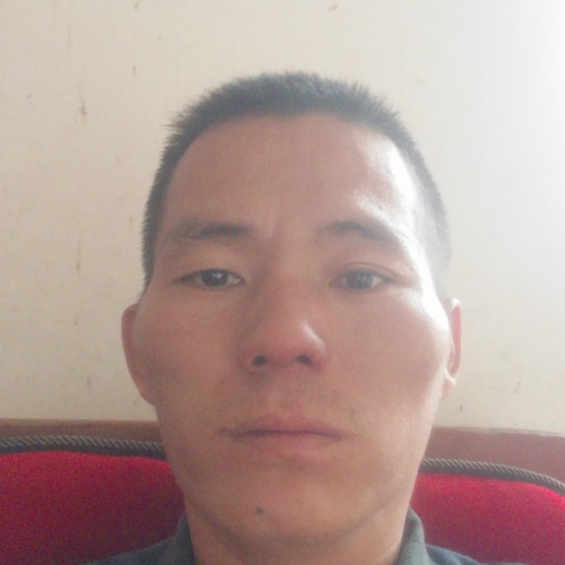 称心愿白羊的照片