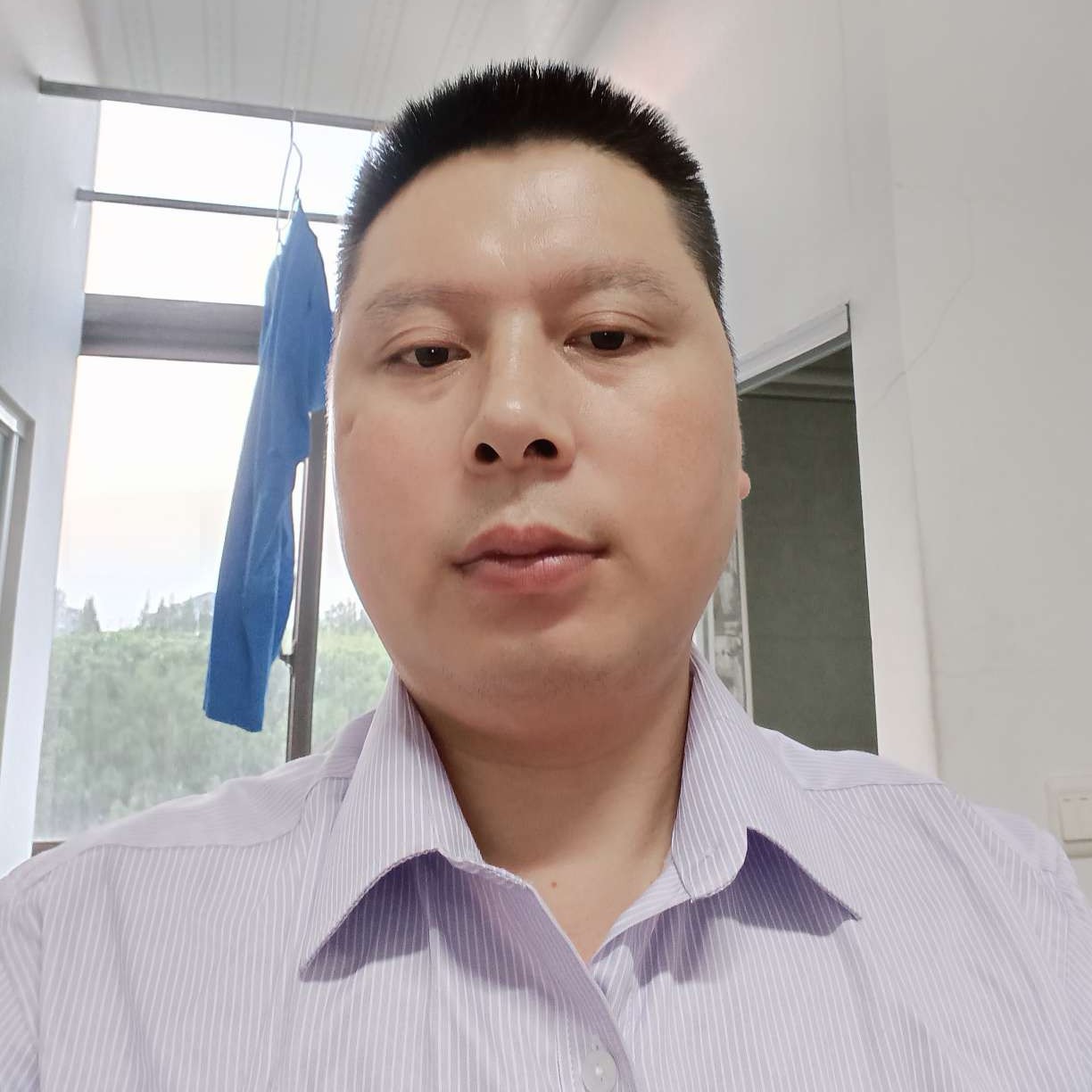纸鹤回眸零碎的照片