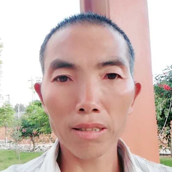 凶狠向黄蜂的照片