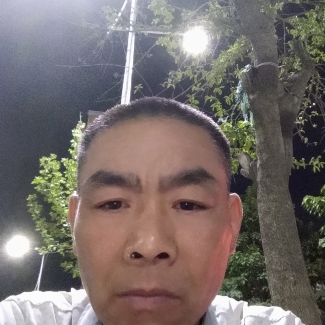 小蜜蜂幽默的照片