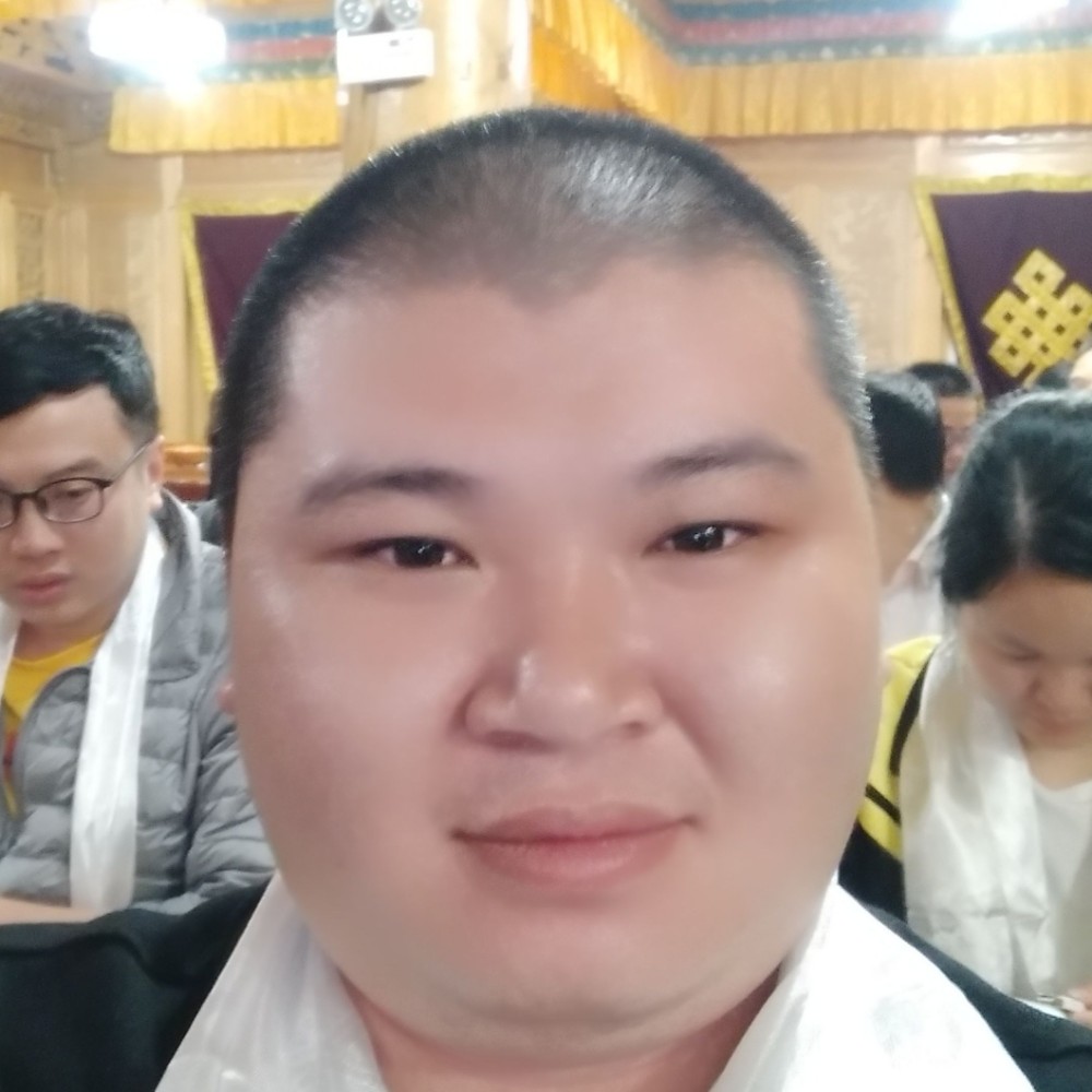 奇异果深拥绚烂的照片