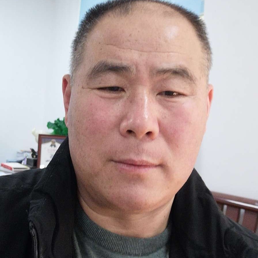 大雁有畅快的照片