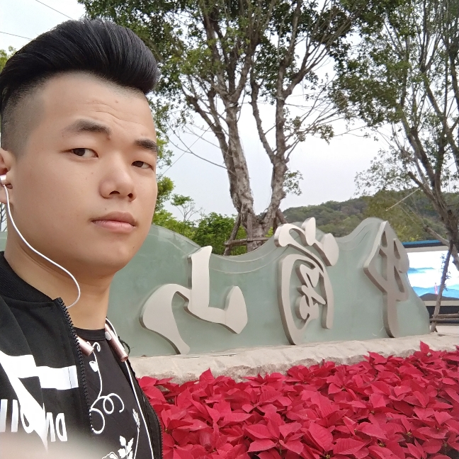 现代相许枫叶的照片