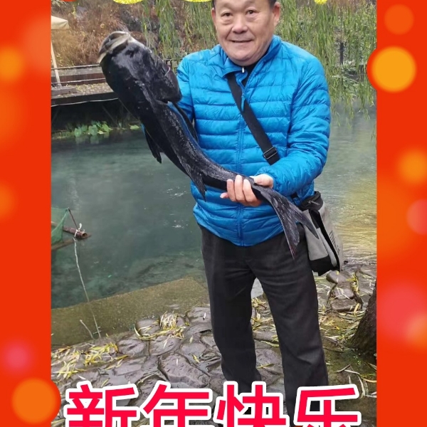 闪闪花瓣的照片