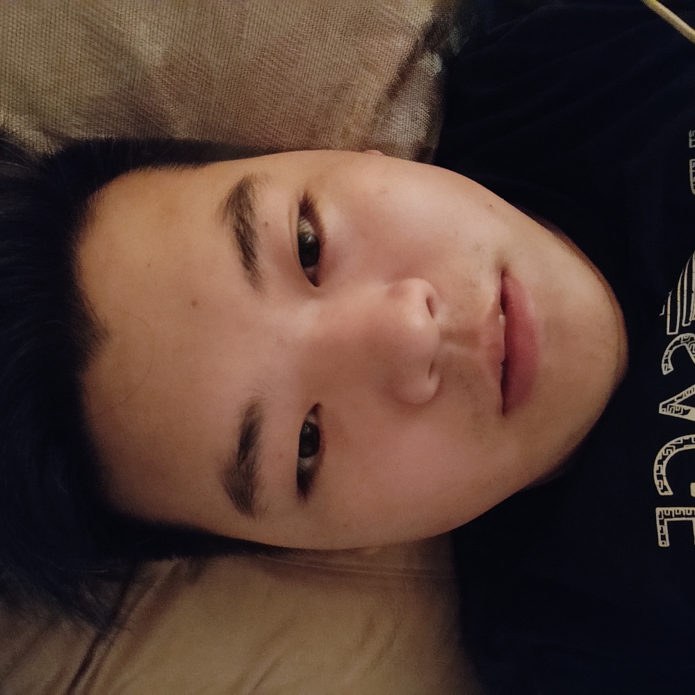一天大路向北走的照片