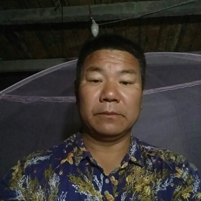 飘逸請寒风的照片