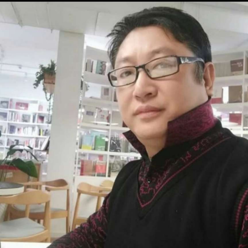 飞鸟的照片