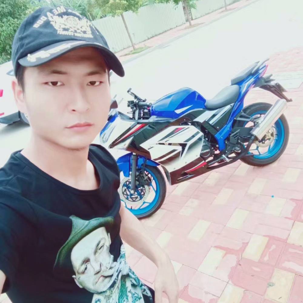 踏实小海豚。的照片