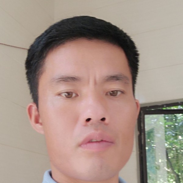 柔弱蹁跹胡萝卜的照片