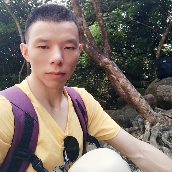 不甜的甜瓜的照片