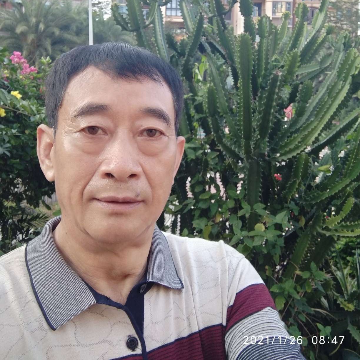 皇蜂的照片