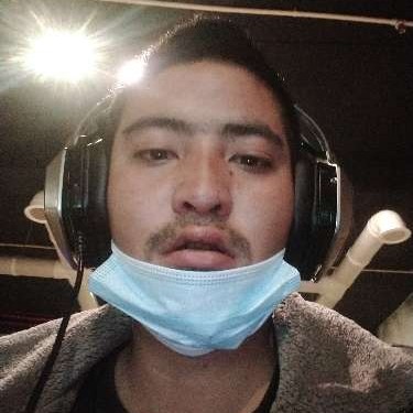 正直有芹菜的照片