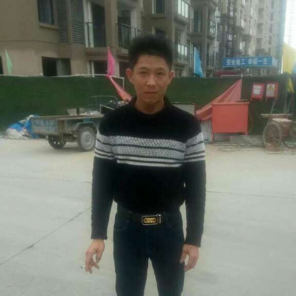 曲奇给整齐的照片