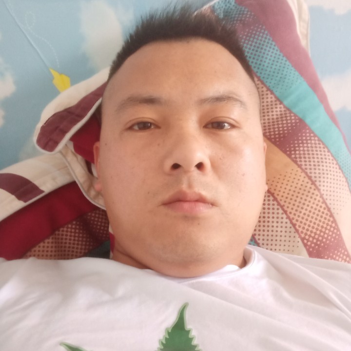 阳光踢小蝴蝶的照片