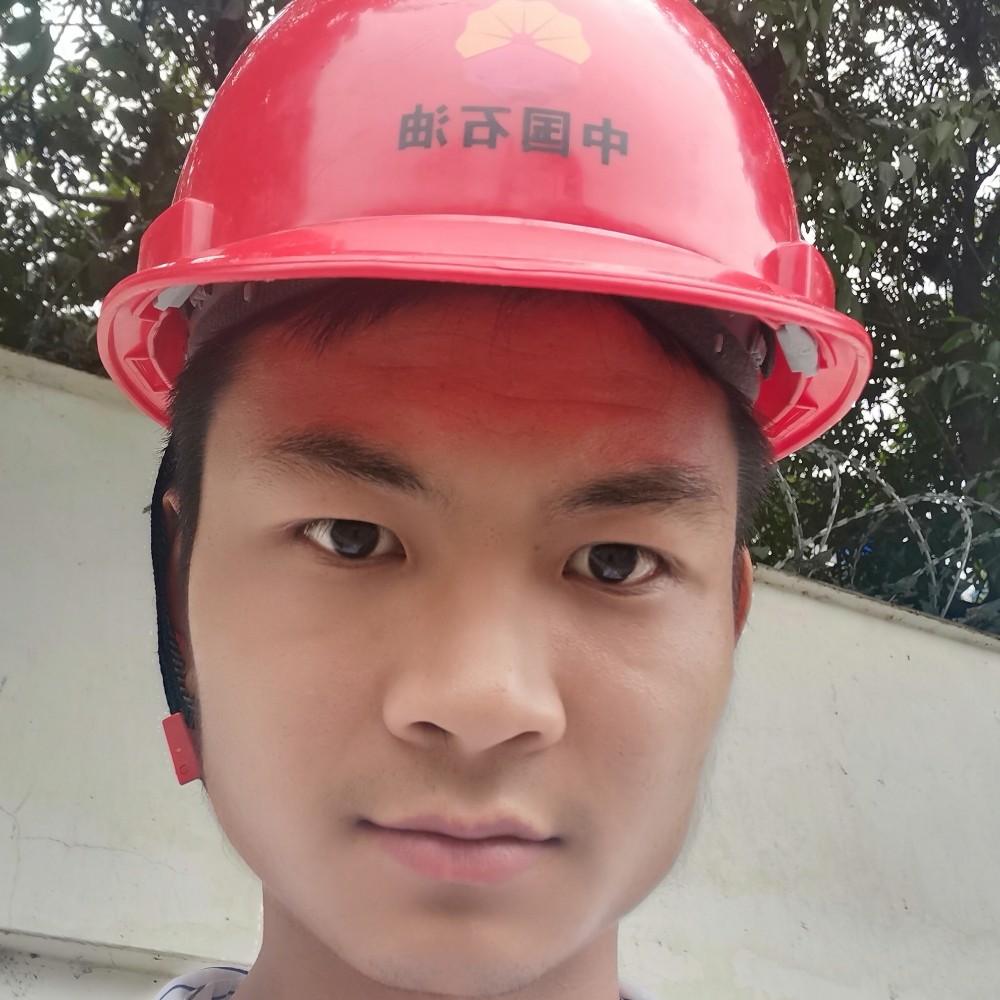 苦荞香茶的照片