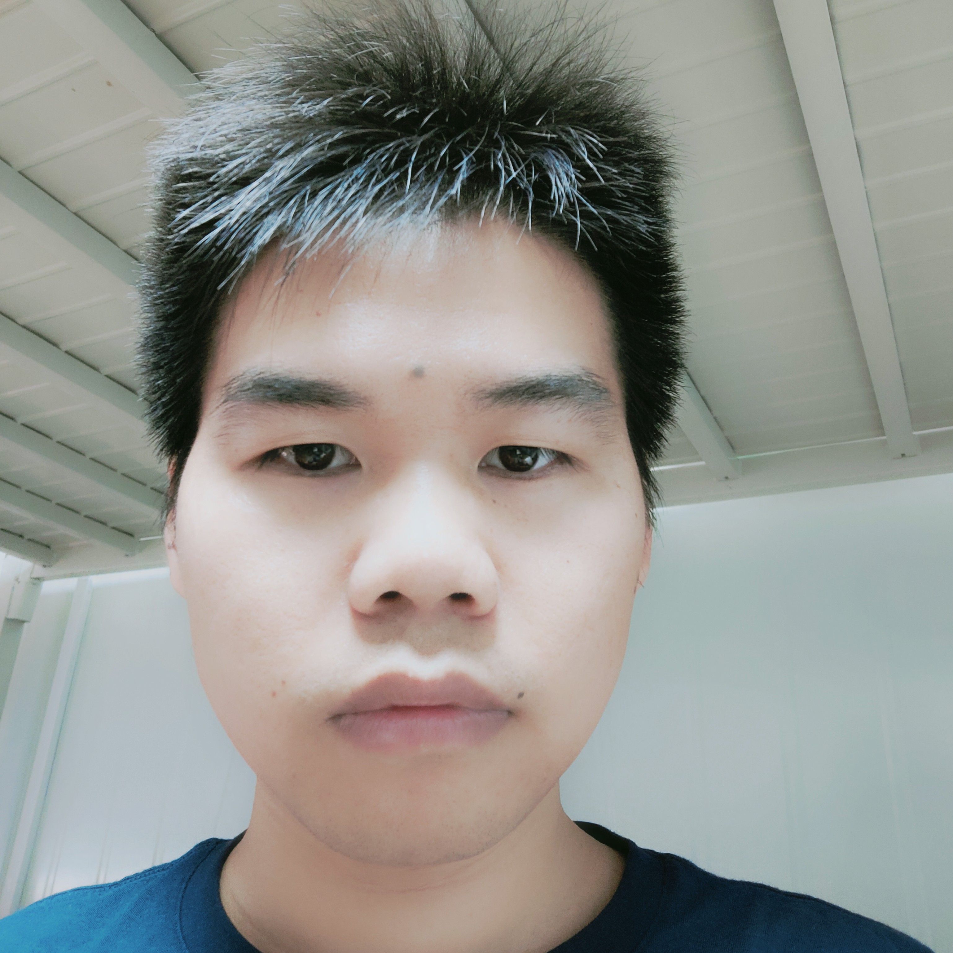 海燕爱怡然的照片