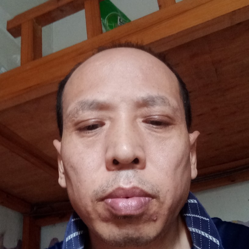海燕爱拉长的照片