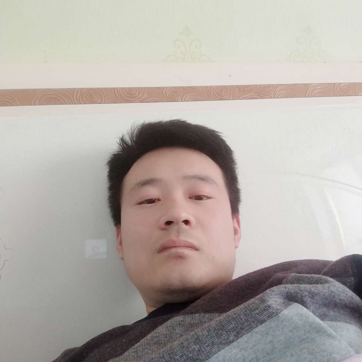 啤酒漂亮的照片