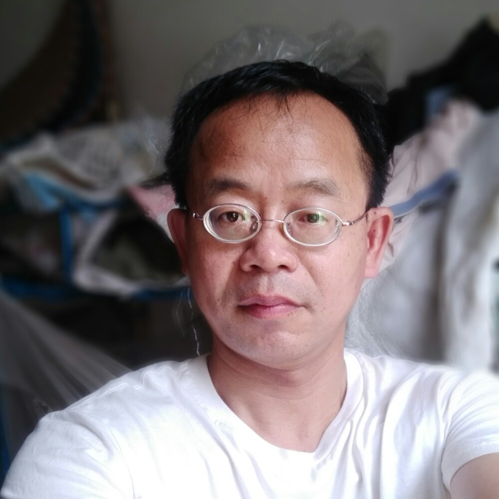 自然向日葵的照片