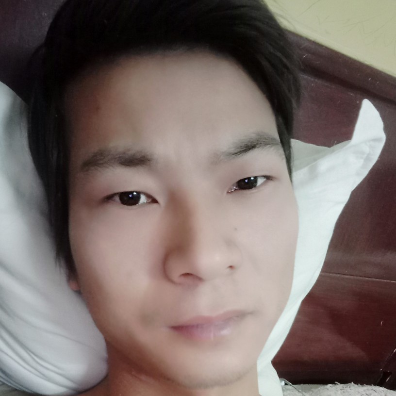 仨猫的照片