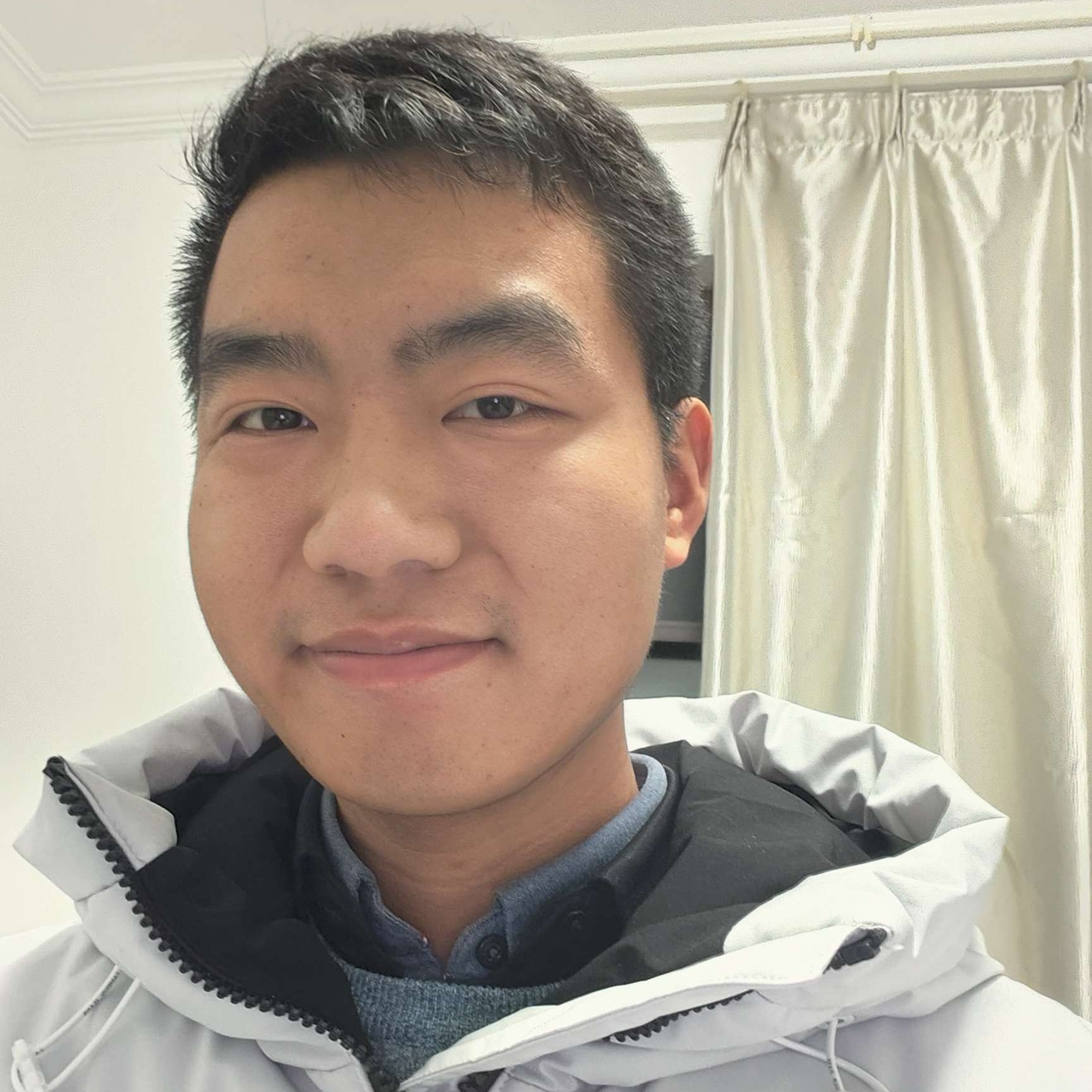 树下邂逅阳光的照片