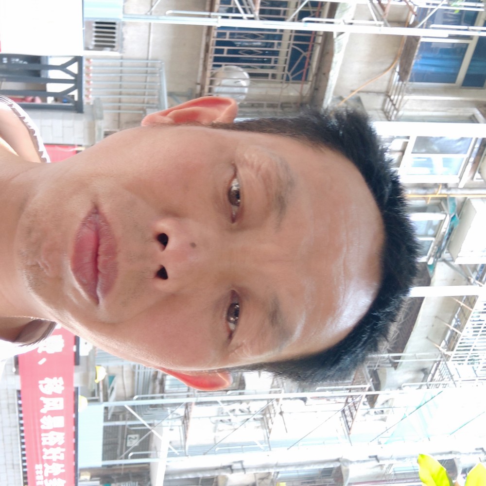鸵鸟害羞的照片