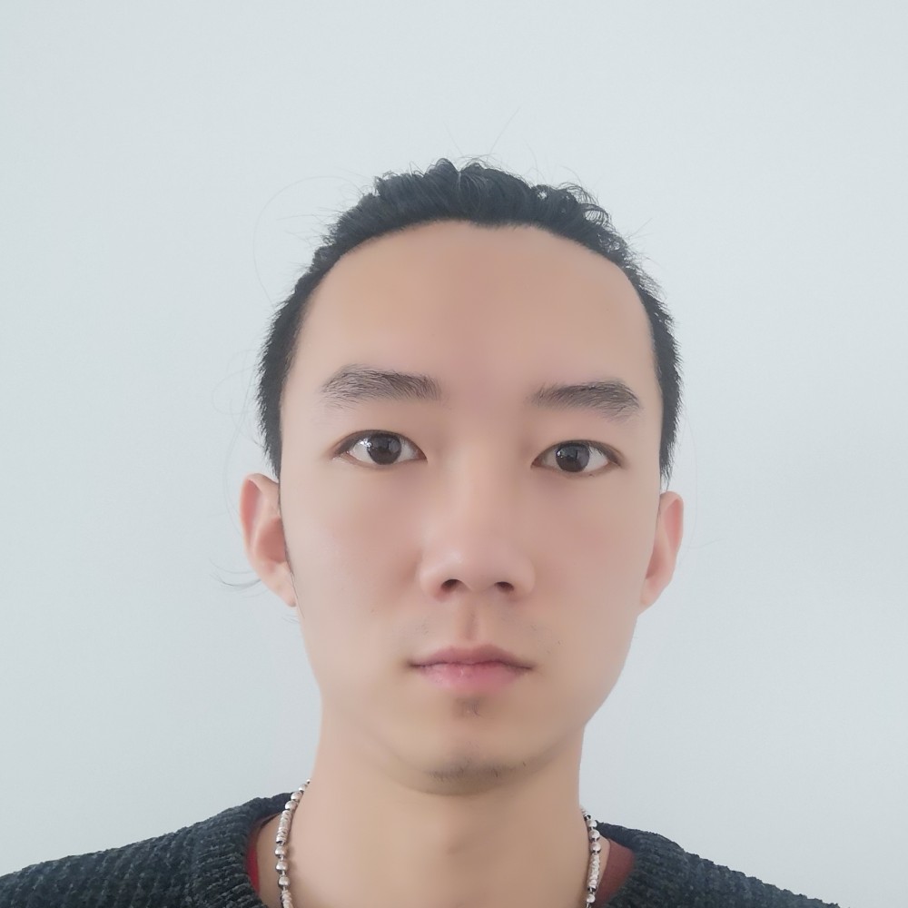 大雁俭朴的照片