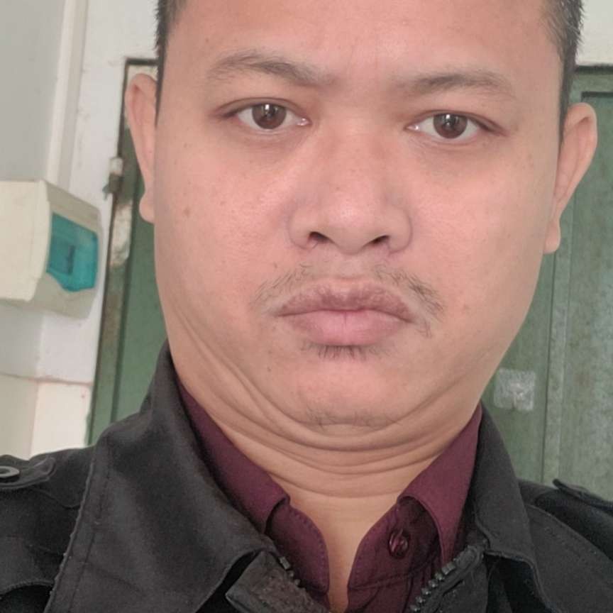 蜜蜂向明亮的照片