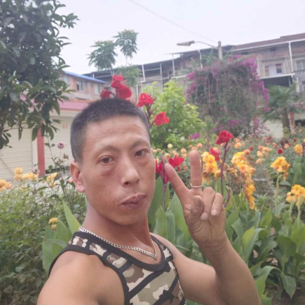 可爱等待小虾米的照片