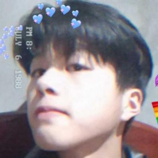 秋黄落叶的照片