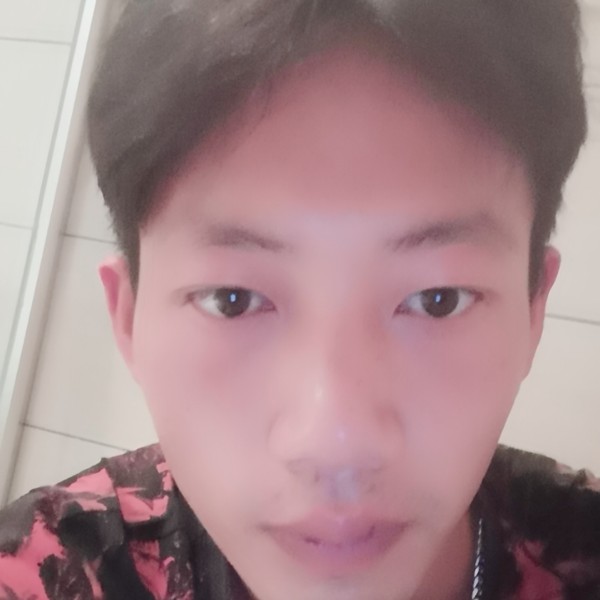 冰淇淋翩飞的照片