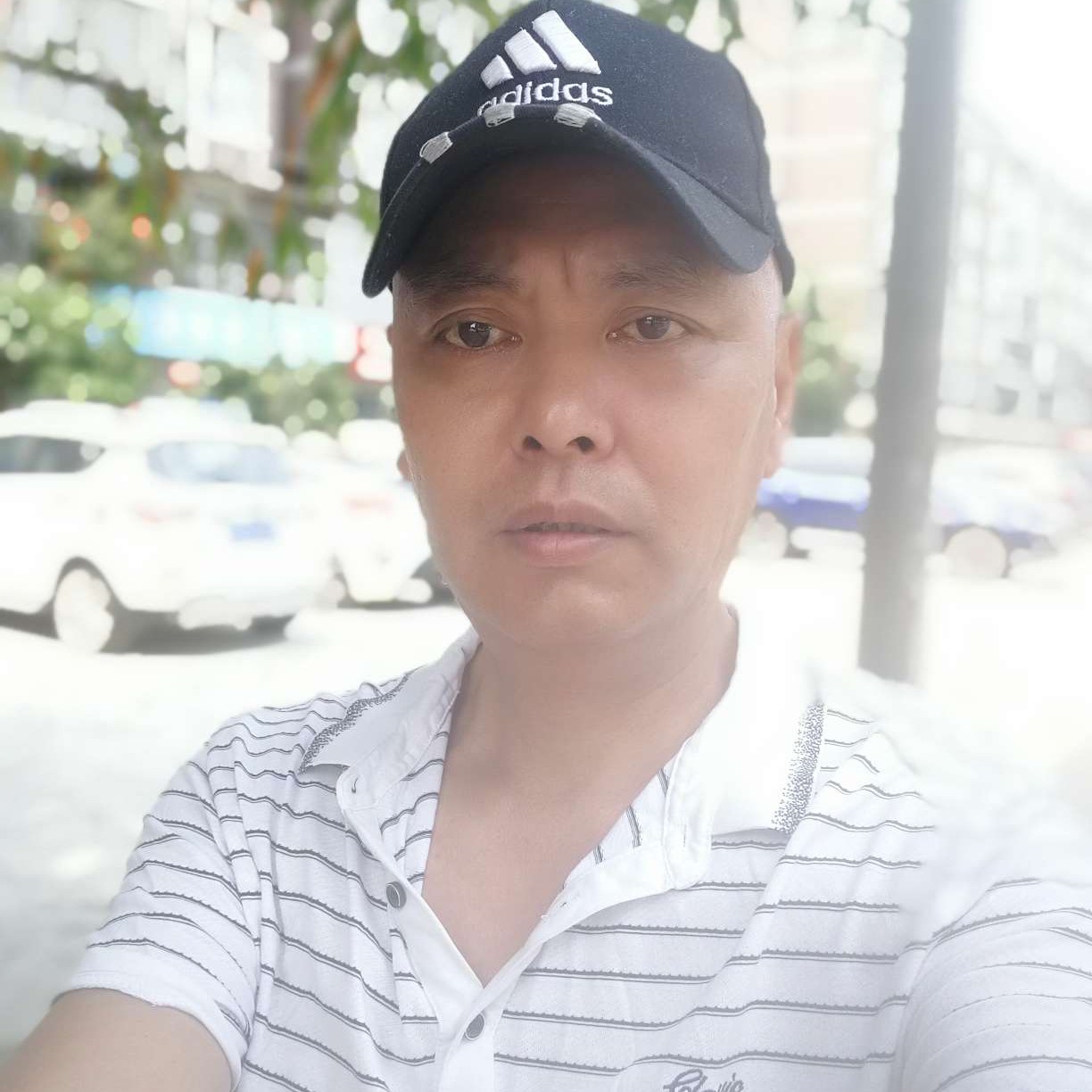 山溪里的游鱼的照片