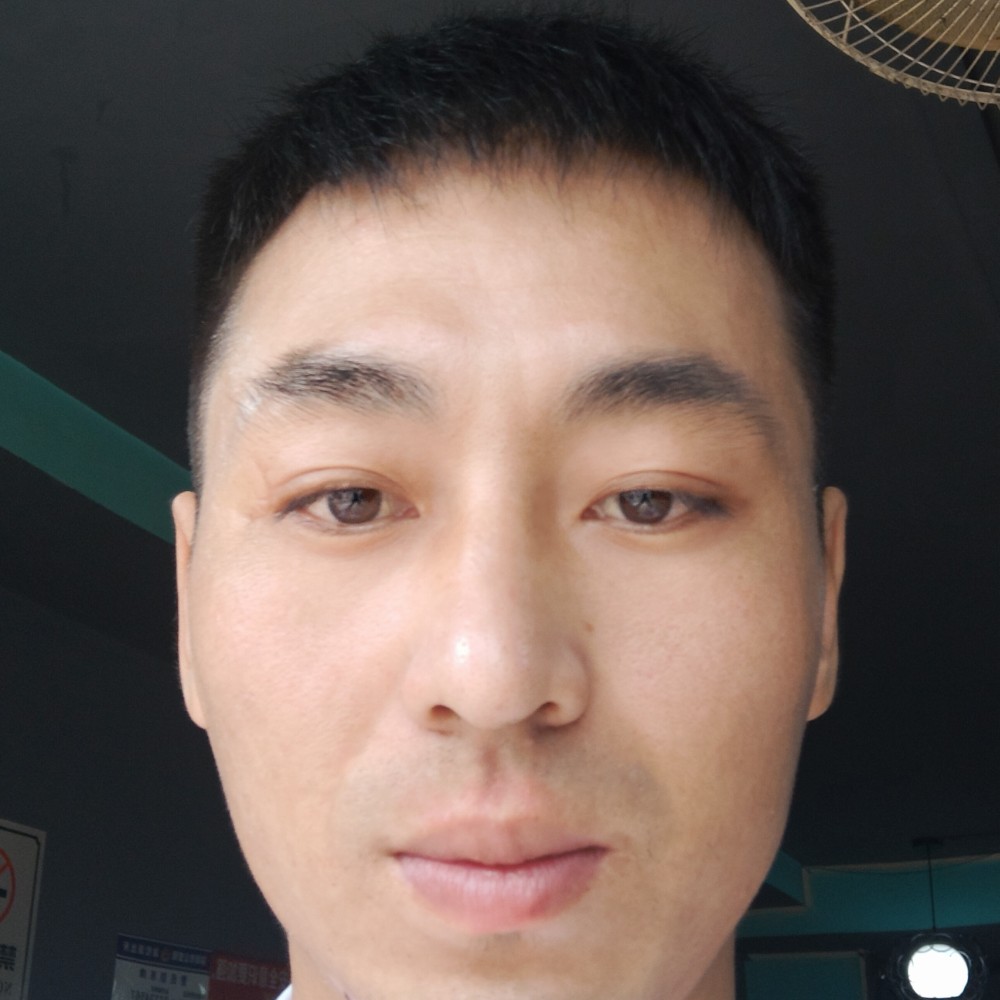 机智浅吻猫咪的照片