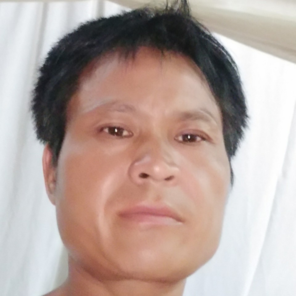 哈密瓜倾心光亮的照片