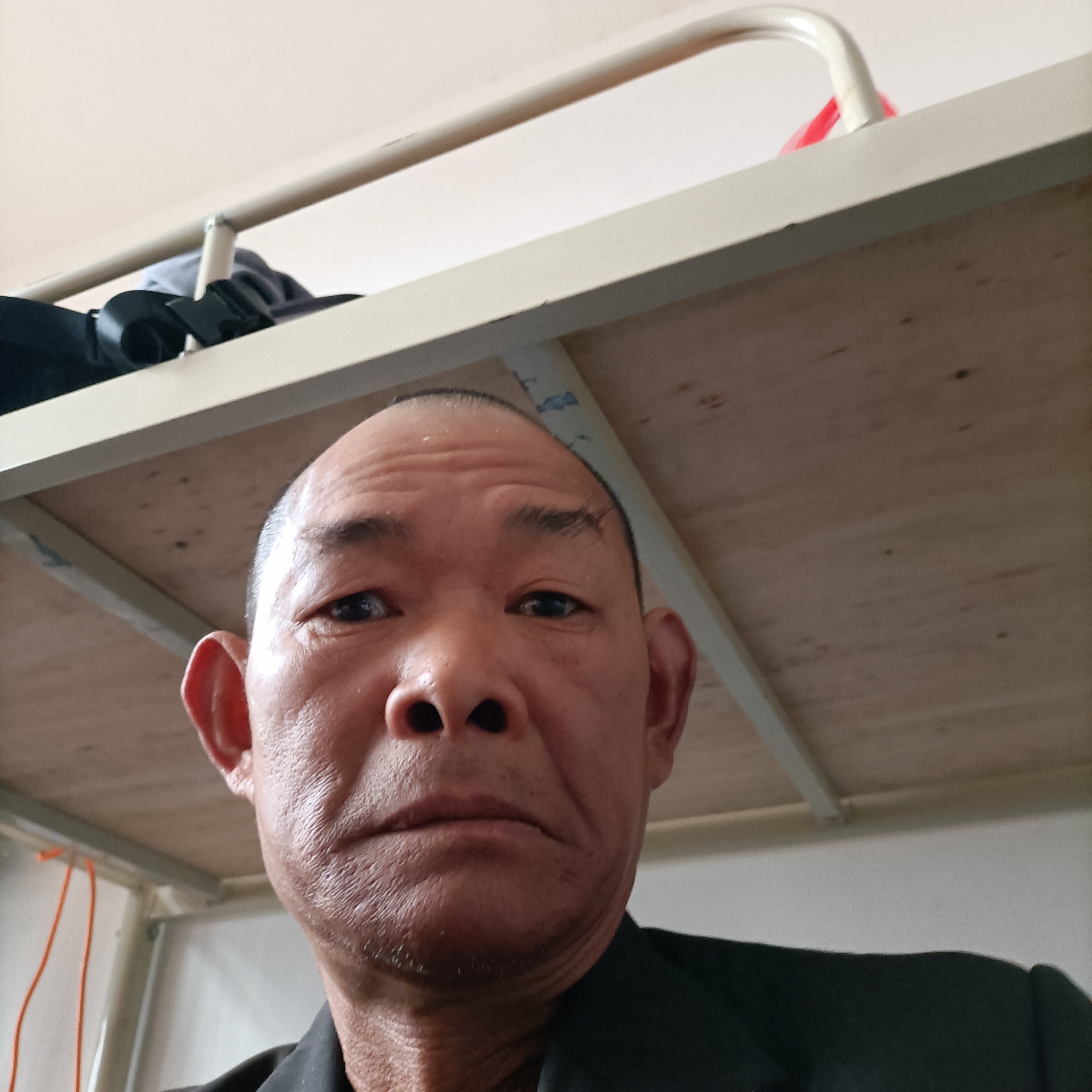 自然方玫瑰的照片
