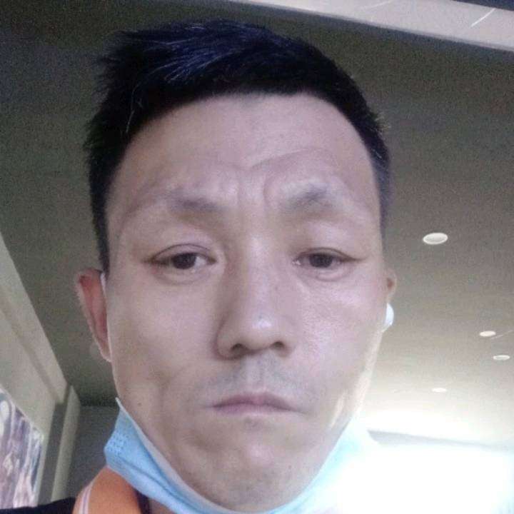 驼峰赚钱养家的照片