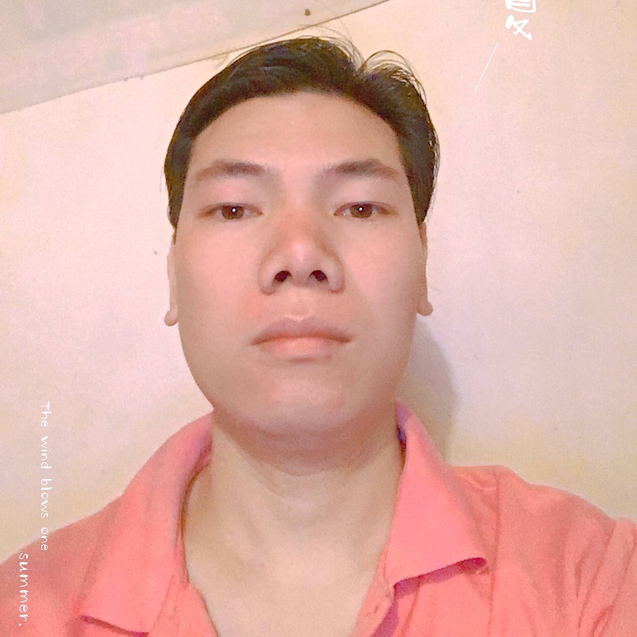 小蝴蝶回首耍酷的照片