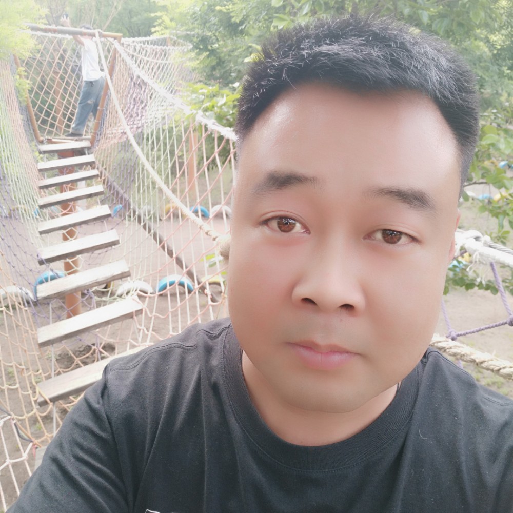 小蘑菇演变风趣的照片
