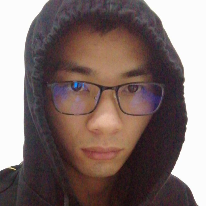 迷路的鸟的照片