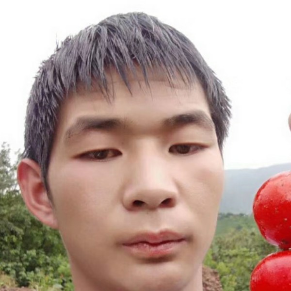 松鼠冷艳的照片